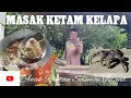 Download Lagu 2 EKOR PELIHARA DALAM DRUM‼️SELEBIHNYA KITA MASAK SANTAN KELAPA//