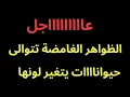 Lagu عاجل : ظاهرة غريبة جدا.. حيواناااات اليفة يتغير لونها 