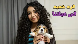 جبنا كلب جديد.. معقول نسينا راست؟؟