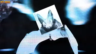                                          احمد ناروتو   بريك آب دندنها