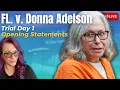 Download Lagu FL v. Donna Adelson Day 1 Opening Statements. New info on Jail Informants. Luis Rivera testifies.
