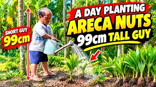 A Simple Day Planting Areca Palms 🌿 in the Vietnamese Countryside