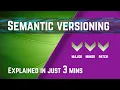 Understand Semantic Versioning - Made Easy with Animations balaji