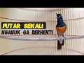 Download Lagu streaming 26 Juni 2025