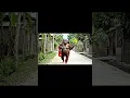 Download Lagu Anh bảo ơi có biết em nhớ anh lắm không #aihàihước #funny