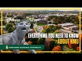 Everything You Need to Know about NMU