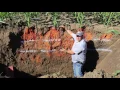 360 Yield Minute - corn root development