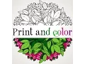 Amazingly Exquisite Free Printable Coloring Pages of Flowers