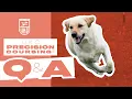 New Changes and Updates UKC Precision Coursing Q A