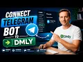 How to Connect a Telegram to DMLY Complete Setup Guide
