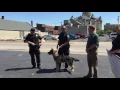 EPD welcomes new dog to K-9 unit