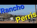 Rancho para Caballos de venta en PERRIS Ca
