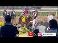 2023 Breeders Cup Juvenile Turf Sprint - Future International Star Unveiled