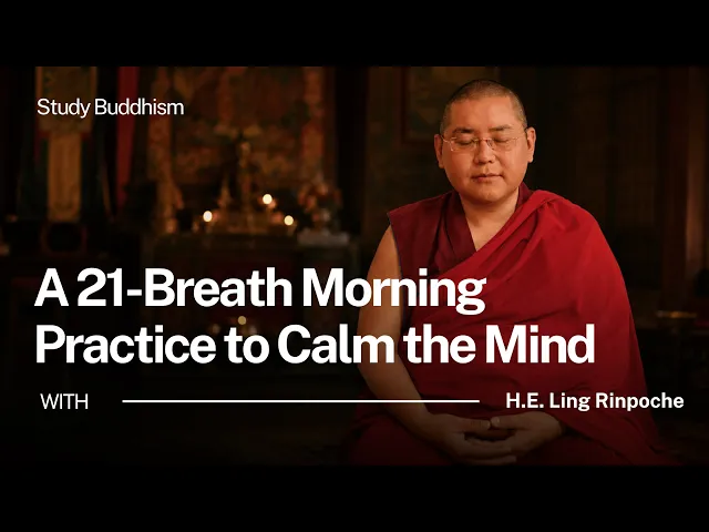 A Buddhist Master's 21-Breath Method for a Busy Mind | Ling Rinpoche