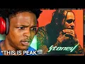 WHY DID NOBODY TELL ME POST MALONE - STONEY album reaction