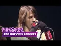 Download Lagu Red Hot Chili Peppers - Full Concert [HD] | Live at Pinkpop 2006