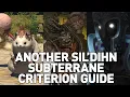 Another Sil dihn Subterreane Criterion GUIDE