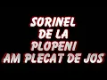 Download Lagu SORINEL DE LA PLOPENI   AM PLECAT DE JOS 2014