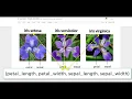 Iris Flower Classification and create Pickle Model for Deployment using sklearn scikit-learn