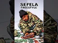 SEFELA FREESTYLE(feat.@M00tionofficial ,@iamnovatron & @DoouShii 
