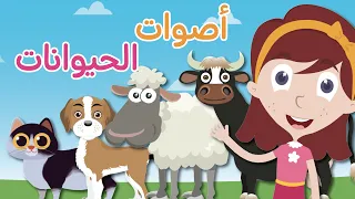 تعليم اصوات  الحيوانات للاطفال باللغة العربية    تعلم مع نور الحيوانات واصواتها                 دندنها