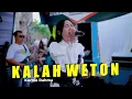 Download Lagu KURNIA RAHMA - KALAH WETON (Official Live Music)