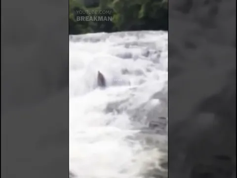 Fantasma en el Río