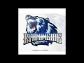 Download Lagu PARIS BARANTAI 2020 RyanInside Remix