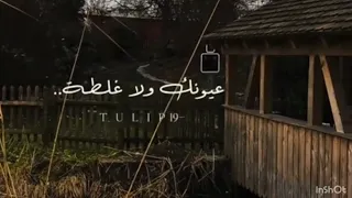 أغنية تقبرني عيونك اللي بتملى عيوني أمان بدون موسيقى 