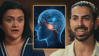 Neuroscientist Explains The 34 Human Senses You Were Never Taught Dr Tara Swart  Neuroscientist Explains The 34 Human Senses You Were Never Taught Dr Tara Swart
