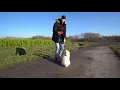 Download Lagu Celine en Michiel kopen hond bij broodfokker 😞 cemi nieuws
