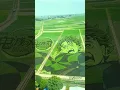 Download Lagu No AI🚫 - 🇯🇵 Tanjiro Rice Field Art Behind the Scenes Demon Slayer #demonslayer #鬼滅の刃