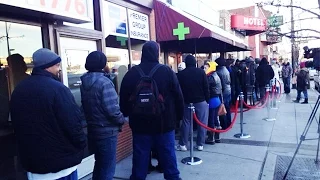 Where Do Most Marijuana Shops Get Setup
