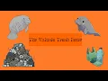 The Volusia Trash Issue - Aryani Bracero Brianna Shackley 1st Period