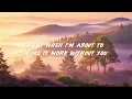 Dolly Parton - Here You Come Again (Lyrics)