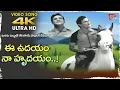Lagu Ee Udayam Na Hrudayam Song 4K | Kanne Manasulu Movie | Rammohan Popular Radio Song |Old Telugu Songs