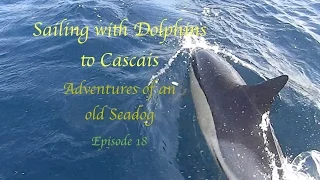 Adventures of an old Seadog Episode 18 Sailing with Dolphins to Cascais