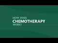 How Does Cancer Chemotherapy Work