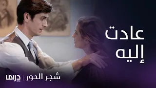 مسلسل شجر الحور الحلقة 30 إيليني تنهار أمام لا مبروس 