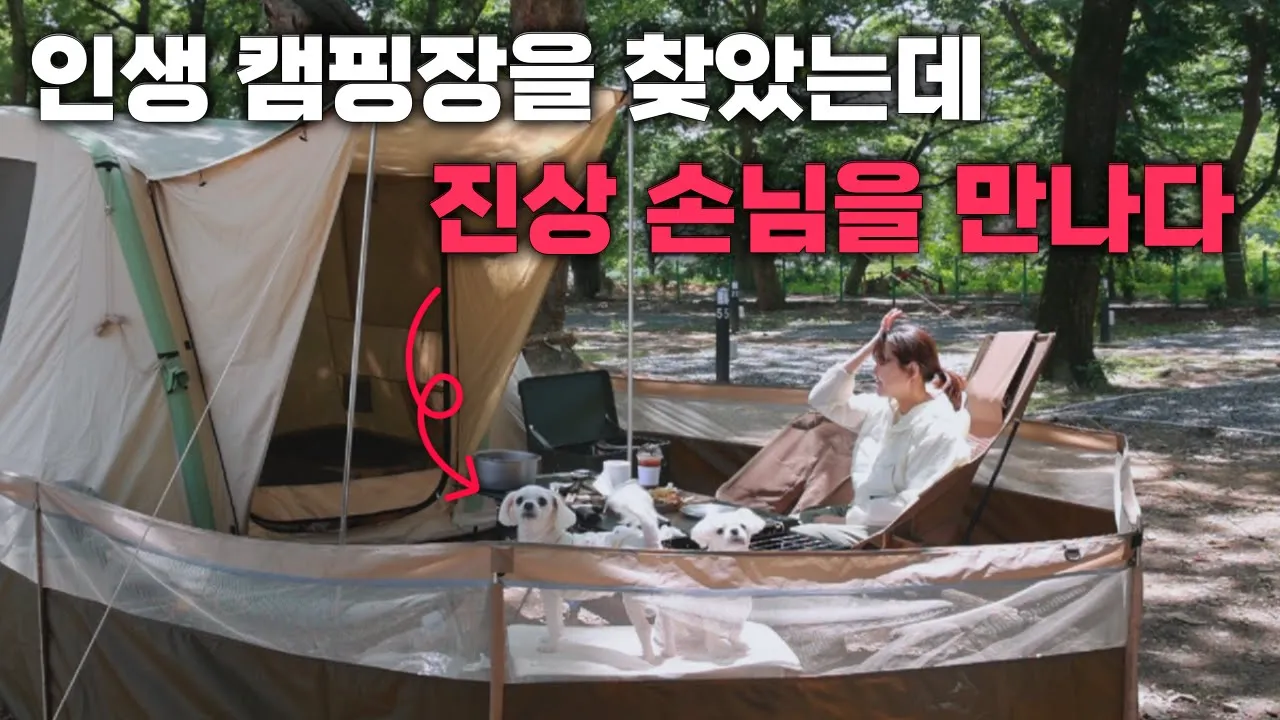 새로 찾은 인생 캠핑장에 진상 손님이 왔다? 아주 귀여운 진상 말티즈와 캠핑 애견캠핑 애견캠핑 필수템은 뭐가 있어요? #캠핑 #애견캠핑 #반려견캠핑 썸네일