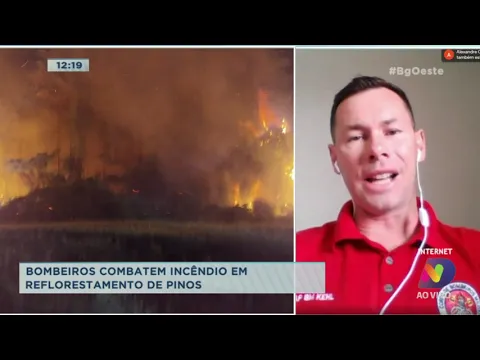 Fim de semana: Oeste registra diversos incêndios florestais