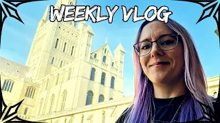 Weekly Vlog Crafty Llama Yarn Shop Norwich St Saviour s Yard Gorleston Beach Clean Aug Pt1