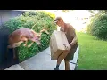 Best Delivery Driver s of the Decade