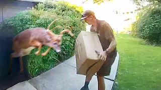 Best Delivery Driver Videos of the Decade