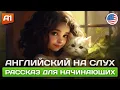 Download Lagu A Lost Kitten - Простой рассказ на английском 🎧 Английский на слух для начинающих (А1)