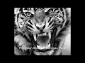 Download Lagu Pengisian Khodam Harimau Putih
