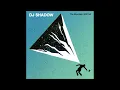 Download Lagu DJ Shadow ft  Matthew Halstall - Ashes To Oceans