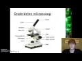 Download Lagu Organen en cellen - De microscoop (onderdelen)