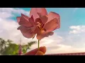 Download Lagu clean bandit - rockabye (slowed) \