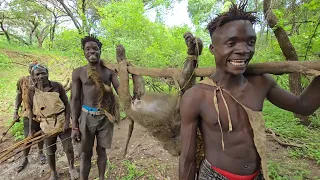Hadzabe Big Baboon Cooking and Eating in The Wild || True Hunters